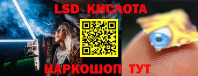 индика Сланцы