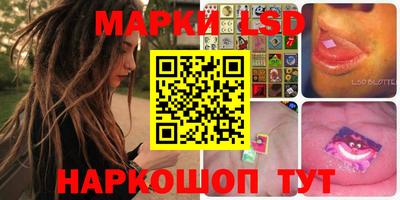 индика Сланцы