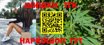 индика Сланцы