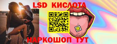 индика Сланцы