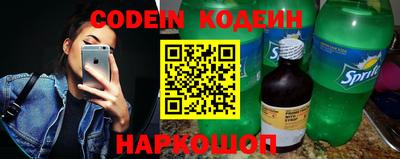 индика Сланцы