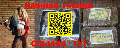 индика Сланцы