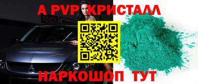 индика Сланцы
