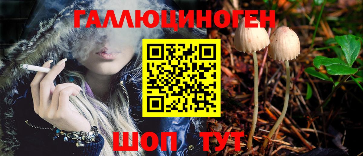Псилоцибиновые грибы GOLDEN TEACHER  Псилоцибиновые грибы Psilocybine cubensis  Вход с VPN  Бахчисарай 