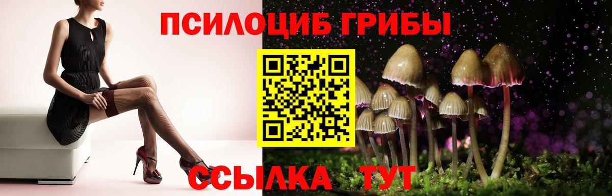 Псилоцибиновые грибы Psilocybe Бахчисарай